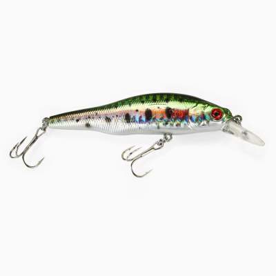 DLT KiKo Minnow 10g Farbe Rainbow Trout 8,0cm - Rainbow Trout - 10g - 1Stück