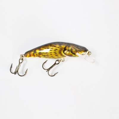 Salmo Bullhead Wobbler floating 6,0cm BD, - 6cm - Bullhead - 6g - 1Stück