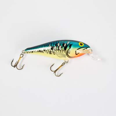 Salmo Executor SR Wobbler Flachläufer floating 5,0cm MG 5cm - MG - 5g - 1Stück