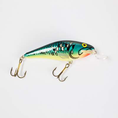 Salmo Executor SR Wobbler Flachläufer floating 7,0cm MG, 7cm - MG - 8g - 1Stück