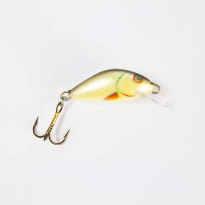 Salmo Hornet SR Wobbler Flachläufer floating 2,5cm D, - 2,5cm - Dace - 1,2g - 1Stück