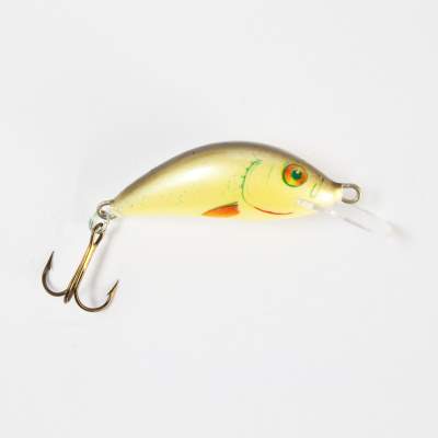 Salmo Hornet SR Wobbler Flachläufer floating 3,5cm D, 3,5cm - Dace - 2,2g - 1Stück