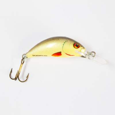 Salmo Hornet Wobbler floating 3,5cm D, 3,5cm - Dace - 2,2g - 1Stück