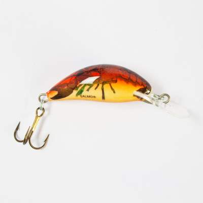 Salmo Hornet Wobbler floating 3,5cm RCW, 3,5cm - Red Crawdad - 2,2g - 1Stück