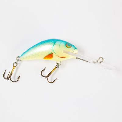 Salmo Hornet SDR Wobbler Tiefläufer floating 4,0cm DB, - 4cm - Dace Blue - 3,8g - 1Stück