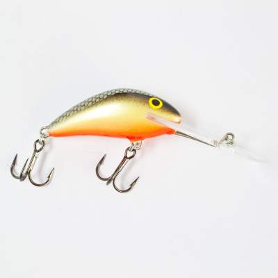 Salmo Hornet SDR Wobbler Tiefläufer floating 4,0cm GS, - 4cm - Grey Silver - 3,8g - 1Stück