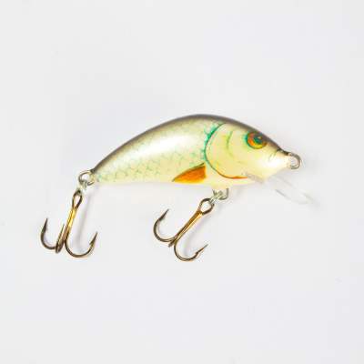 Salmo Hornet SR Wobbler Flachläufer floating 4,0cm D 4cm - Dace - 3g - 1Stück