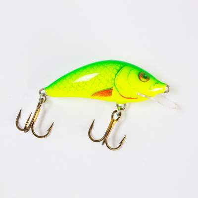 Salmo Hornet SR Wobbler Flachläufer floating 4,0cm YD 4cm - Yellow Dace - 3g - 1Stück