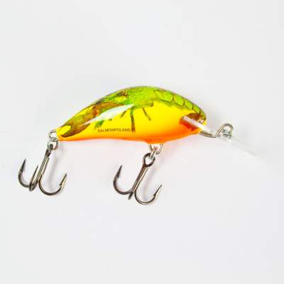 Salmo Hornet Wobbler floating 4,0cm HCW, - 4cm - Hot Crawdad - 3g - 1Stück