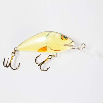 Salmo Hornet Wobbler floating 6,0cm D, 6cm - Dace - 10g - 1Stück