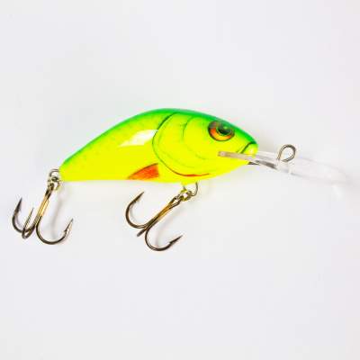 Salmo Hornet Wobbler floating 6,0cm YD, - 6cm - Yellow Dace - 10g - 1Stück