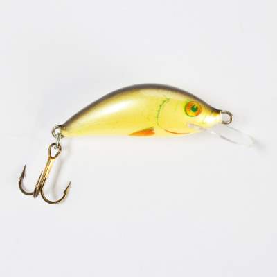 Salmo Hornet SR Wobbler sinking Flachläufer 3,5cm D 3,5cm - Dace - 2,4g - 1Stück