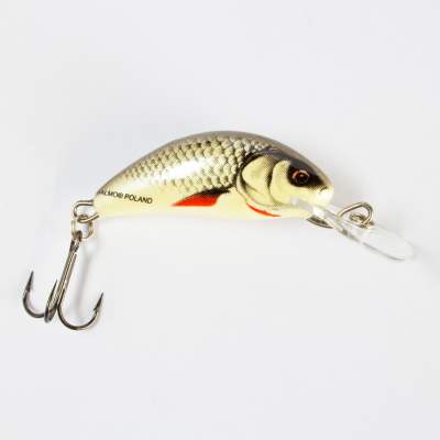 Salmo Hornet Wobbler sinking 3,5cm D 3,5cm - Dace - 2,6g - 1Stück