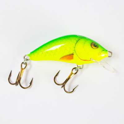 Salmo Hornet SR Wobbler sinking Flachläufer 4,0cm YD 4cm - Yellow Dace - 4,4g - 1Stück