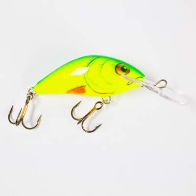 Salmo Hornet Wobbler sinking 6,0cm YD, - 6cm - Yellow Dace - 14g - 1Stück