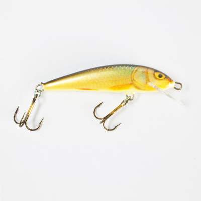 Salmo Minnow Wobbler floating 6,0cm RR, - 6cm - Real Roach - 4g - 1Stück