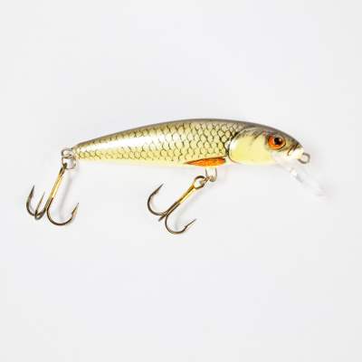 Salmo Minnow Wobbler floating 7,0cm D 7cm - Dace - 6g - 1Stück