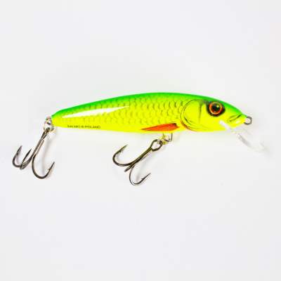 Salmo Minnow Wobbler floating 7,0cm YD 7cm - Yellow Dace - 6g - 1Stück