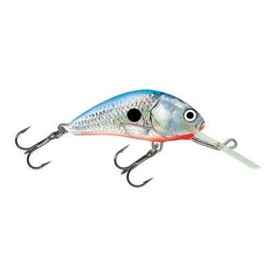Silver Blue Shad
