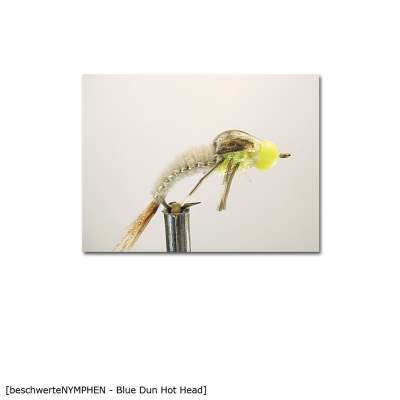 X-Version Fly Beschwerte Nymphe BLUE DUN HOT HEAD 10 Gr.10 - 1Stück - 62