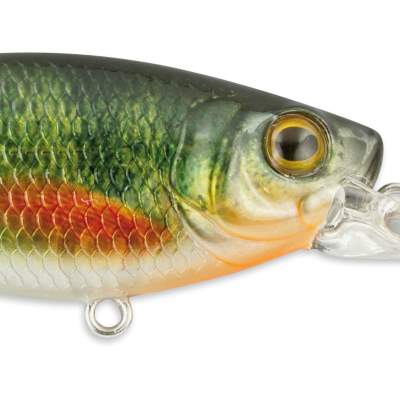 SPRO Ikiru Shad 70SL SP Green Perch 7cm - Green Perch - 10,5g - 1Stück