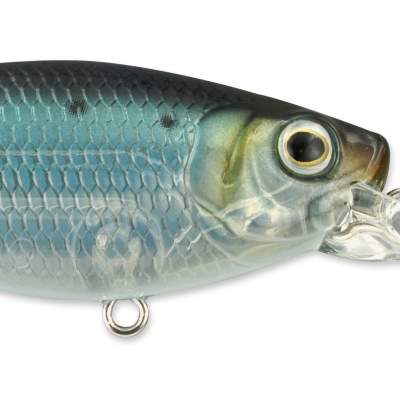 SPRO Ikiru Shad 70SL SP Sardine, 7cm - Sardine - 10,5g - 1Stück