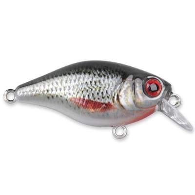 SPRO Ikiru Mini Crank SL SFL Roach, 3,8cm - Roach - 4g - 1Stück