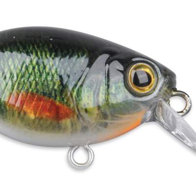 SPRO Ikiru Mini Crank SL SFL Green Perch, 3,8cm - Green Perch - 4g - 1Stück