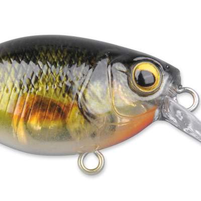 SPRO Ikiru Mini Crank SL SFL Yellow Perch 3,8cm - Yellow Perch - 4g - 1Stück