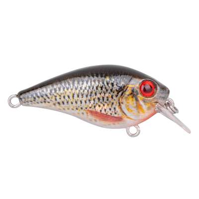 SPRO Ikiru Naturals Crank 45F, 4.5cm - Roach - 6g - 1Stück