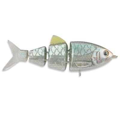 SPRO BBZ-1 2,5'' Baby Shad Swimbait schnell sinkend Blue Back Hering, Blue Back Hering - 6,5g