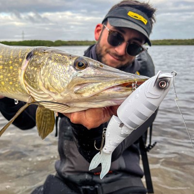 Gamakatsu Luxxe Laughin 170 - Swimbait Mat White - 17cm - 46g - Gr.#2 - 1Stück