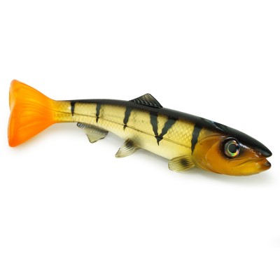 Transparent Perch