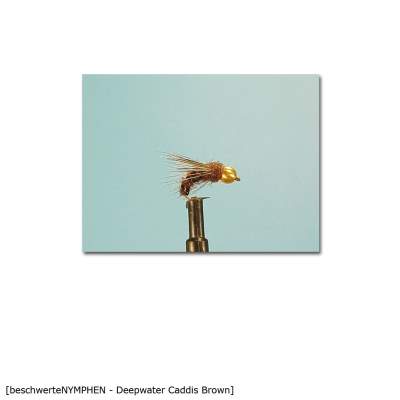 X-Version Fly Beschwerte Nymphe DEEPWATER CADDIS BROWN 12 Gr.12 - 1Stück - 78