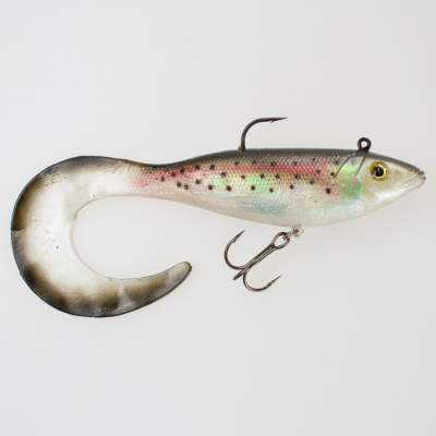 Storm Wildeye Seeker Shad 20cm 8 RT Rainbow Trout Rarität 20cm - RT - 1Stück
