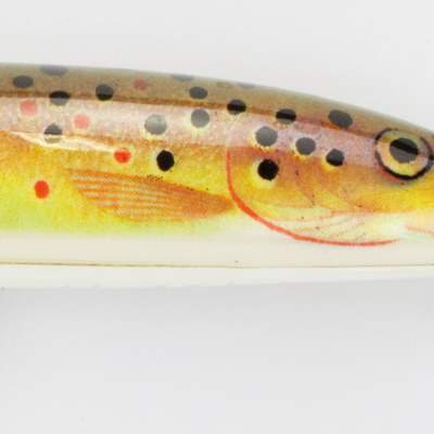 Rapala Jointed CD Countdown zweiteiliger Wobbler Rarität 11cm TR 11cm - TR