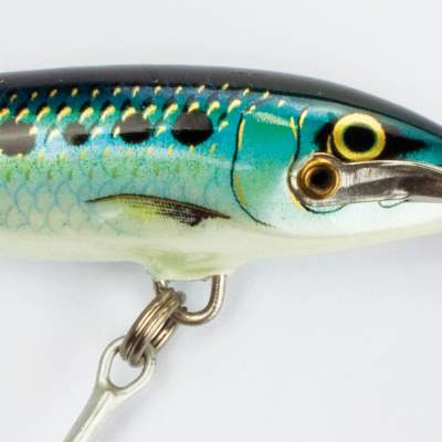 Rapala Countdown Magnum Wobbler 7,0cm Sardine (SRD), 12g, sinking, tiefläufer, 1 Stück