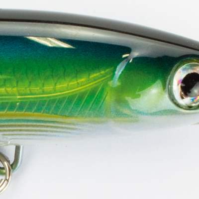 Rapala X-Rap Magnum Floating Wobbler 10cm YFT 10cm - YFT