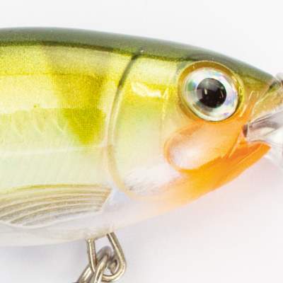 Rapala X-Rap Shad SR Shallow Runner Wobbler 6cm YP 6cm - YP