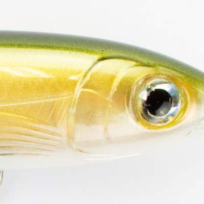 Rapala X-Rap Walk Stickbait Wobbler 9cm GO 9cm - GO