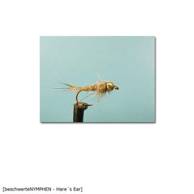 X-Version Fly Beschwerte Nymphe HARES EAR 12 Gr.12 - 1Stück - 74