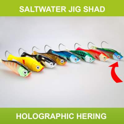 Team Deep Sea Saltwater Jig Shad, 20,0cm, 265g, 1 Kopf + 1 Shad, Holographic Hering, 20cm - Holographic Hering - 265 - 1+1Stück