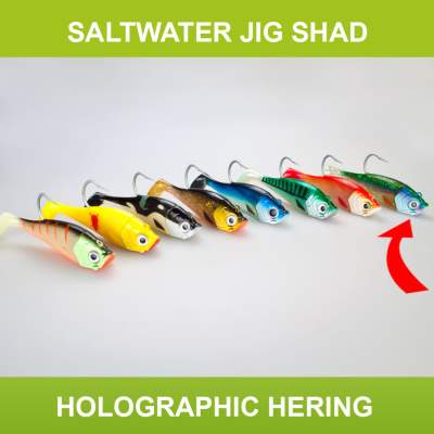 Team Deep Sea Saltwater Jig Shad, 16,0cm, 180g, 1 Kopf + 1 Shad, Holographic Hering 16cm - Holographic Hering - 180 - 1+1Stück