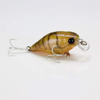 Illex Chubby 38 Crankbait 3,8cm - Brown Suji Shrimp - 4g - 1Stück