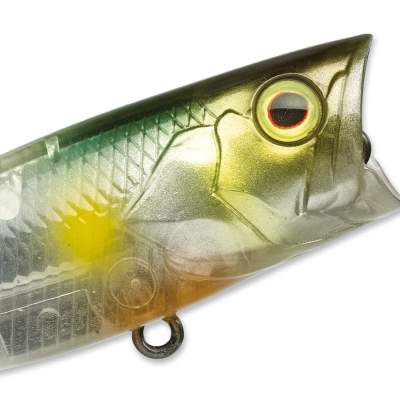 Illex SK- Pop Splash Popper 53 AH, - 5,3cm - Ayu Head - 6,5g - 1Stück