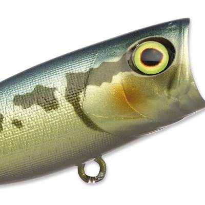 Illex SK- Pop Splash Popper 53 TS, - 5,3cm - Tonosama - 6,5g - 1Stück