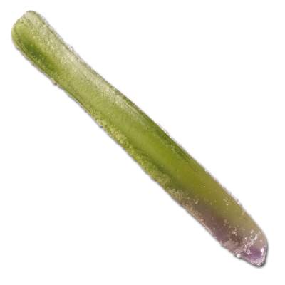Illex Cross Tail Shad 65 PW 6,5cm - purple winne - 8Stück