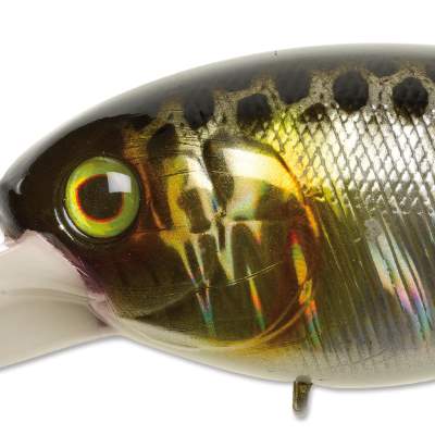 Illex Mascle Deep 4+ Skull Shell HL SB 7cm - HL Silver Black - 21,5g - 1Stück