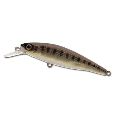 Illex Squad Minnow 80 SP 82 GJ, - 8,2cm - goujon - 9,7g - 1Stück