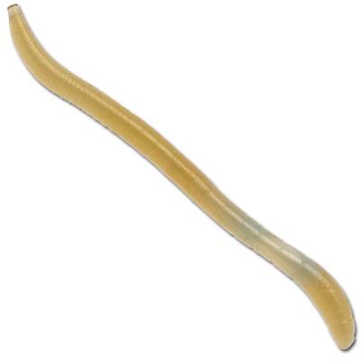 Illex Neon Flick W 9,7cm - wakasagi - 8Stück
